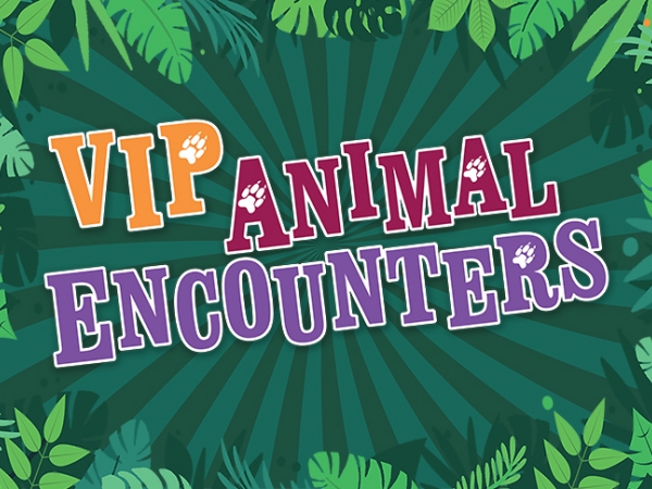 VIP Animal Encounters